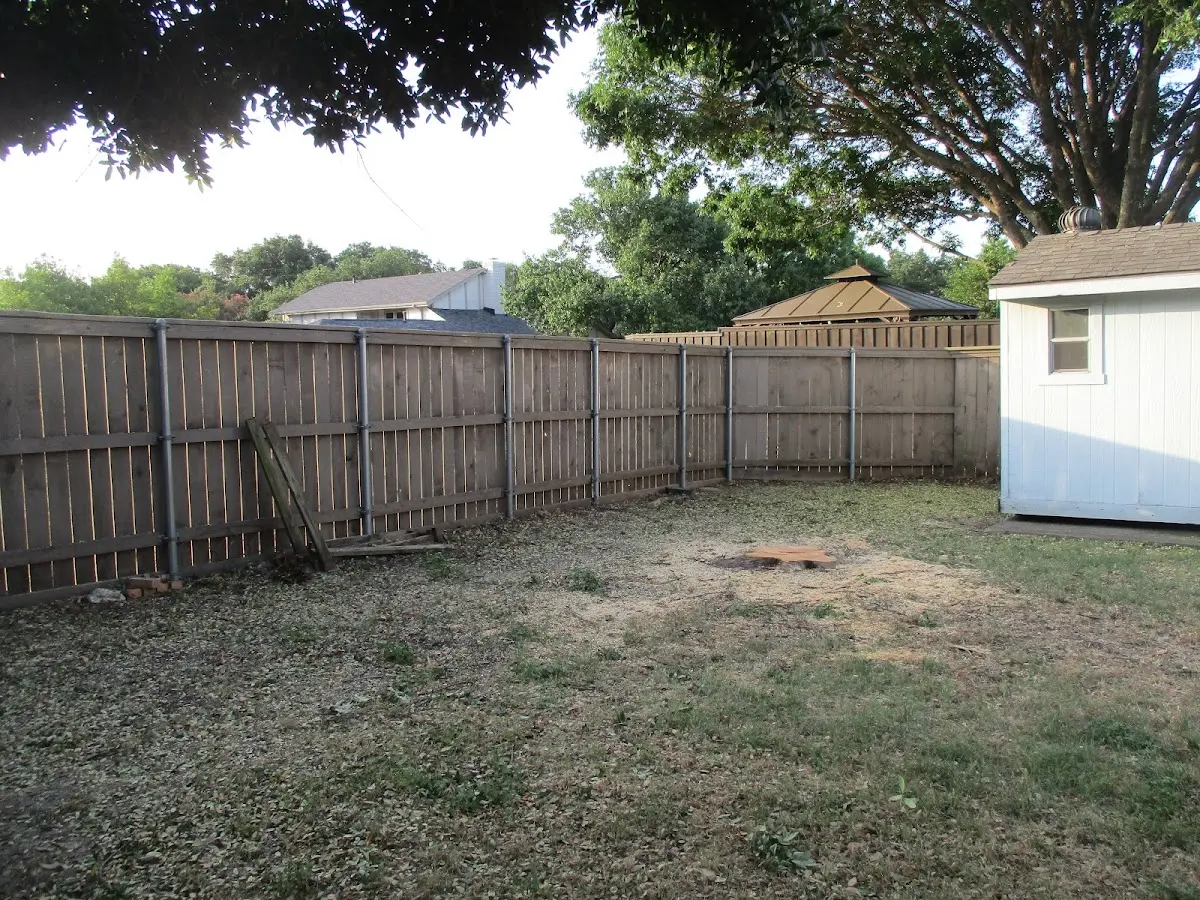 Cleared yard after professional tree removal in South Hutchinson